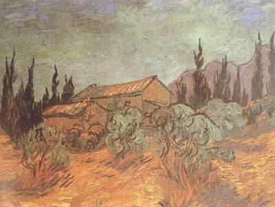Vincent Van Gogh Wooden Sheds (nn04) Germany oil painting art